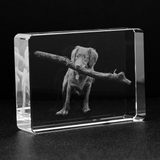 Personalized Crystal - 3D Holographic Block - Stadium