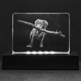 Personalized Crystal - 3D Holographic Block - Stadium