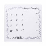 Newborn Baby Milestone Blankets DIY Photography